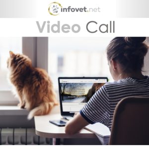 Book a call : virtual care