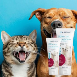 Gel dentaire aux canneberges pour chat et chien