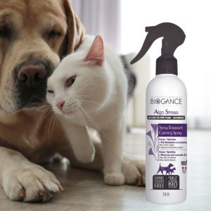 Algo Stress - Spray Relaxant