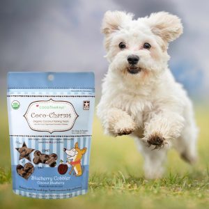 Cocotherapy Coco-Charms Bleuet et Noix de Coco