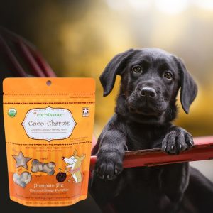 Cocotherapy Coco-Charms Citrouille et Noix de Coco