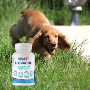 Floradox Probiotique en poudre