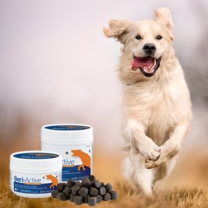 Geri-Active  pour moyens et grands chiens - plus de 15kg