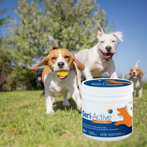 Geri-Active petits chiens - jusqu'à 15kg
