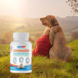 Cognadin - Mémoire et Fonction Cérébrale