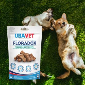 Floradox Probiotique en cubes tendres