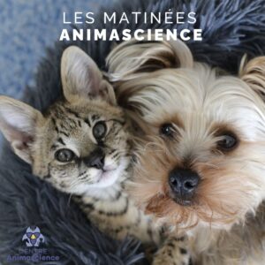 Les Matinées Animascience