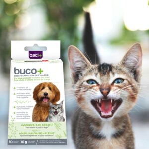 Buco + de Baci /10 jours