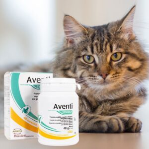 Aventi Synergy
