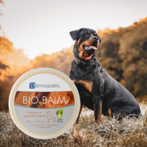 Ubacalm – Liquid Formula (Copie)