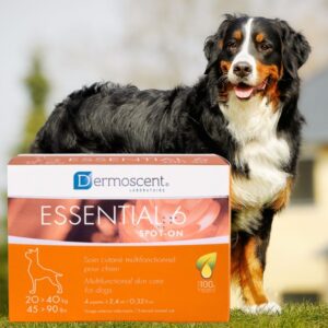 Essential 6 Spot-On – Chiens 20 à 40 kg